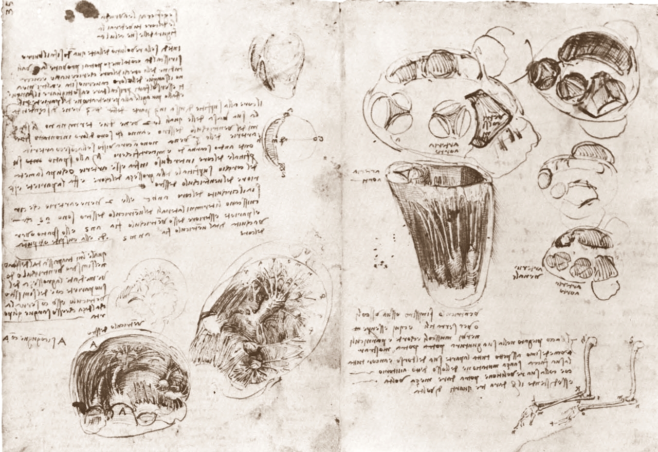 Leonardo+da+Vinci-1452-1519 (811).jpg